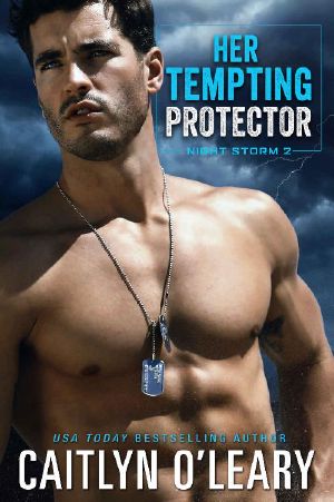 [Night Storm 02] • Her Tempting Protector · Navy SEAL Team